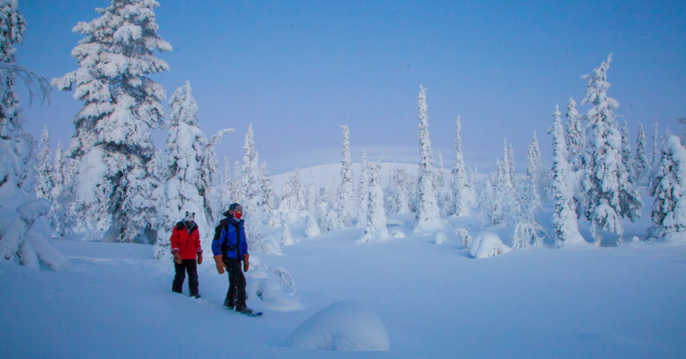 Schneeschuhwandern in Finnisch-Lappland