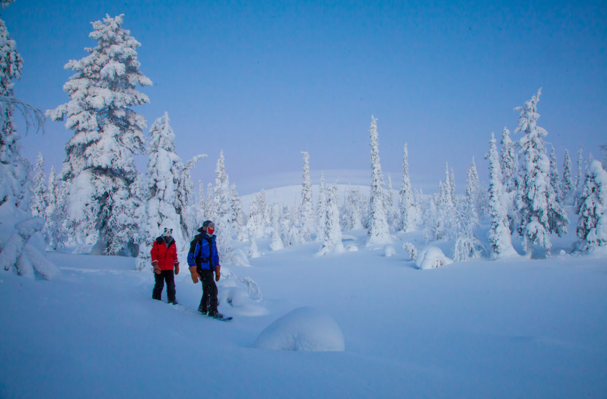 Schneeschuhwandern in Finnisch-Lappland