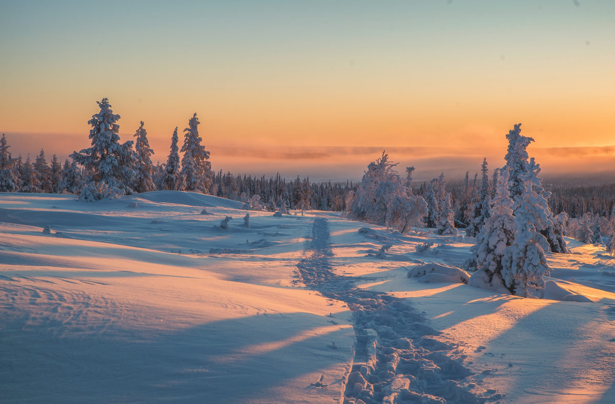 Finnisch-Lappland Harriniva
