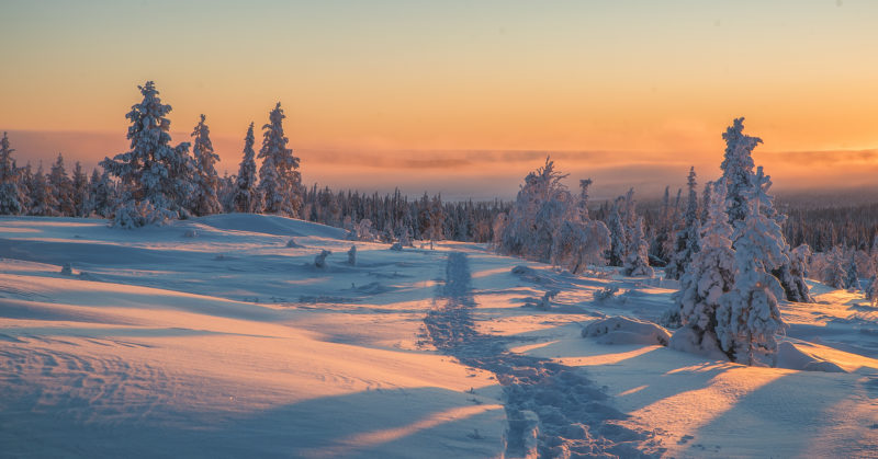 Finnisch-Lappland Harriniva