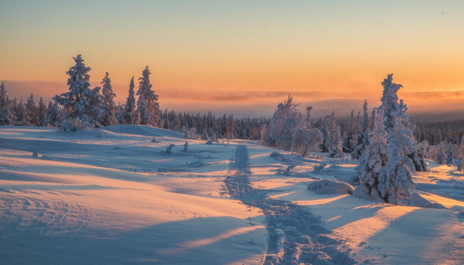 Reise nach Finnisch-Lappland