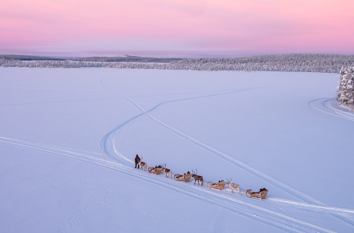 Hundeschlittenfahrt in Finnisch-Lappland
