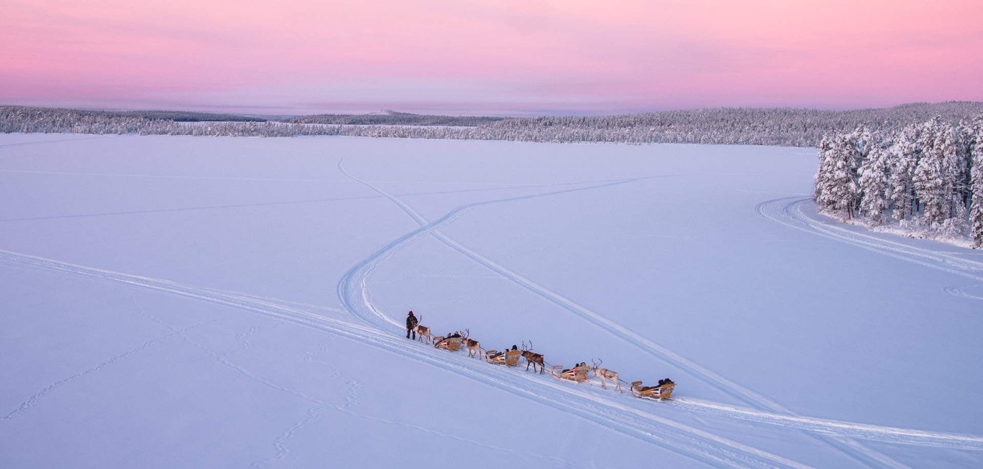 Hundeschlittenfahrt in Finnisch-Lappland