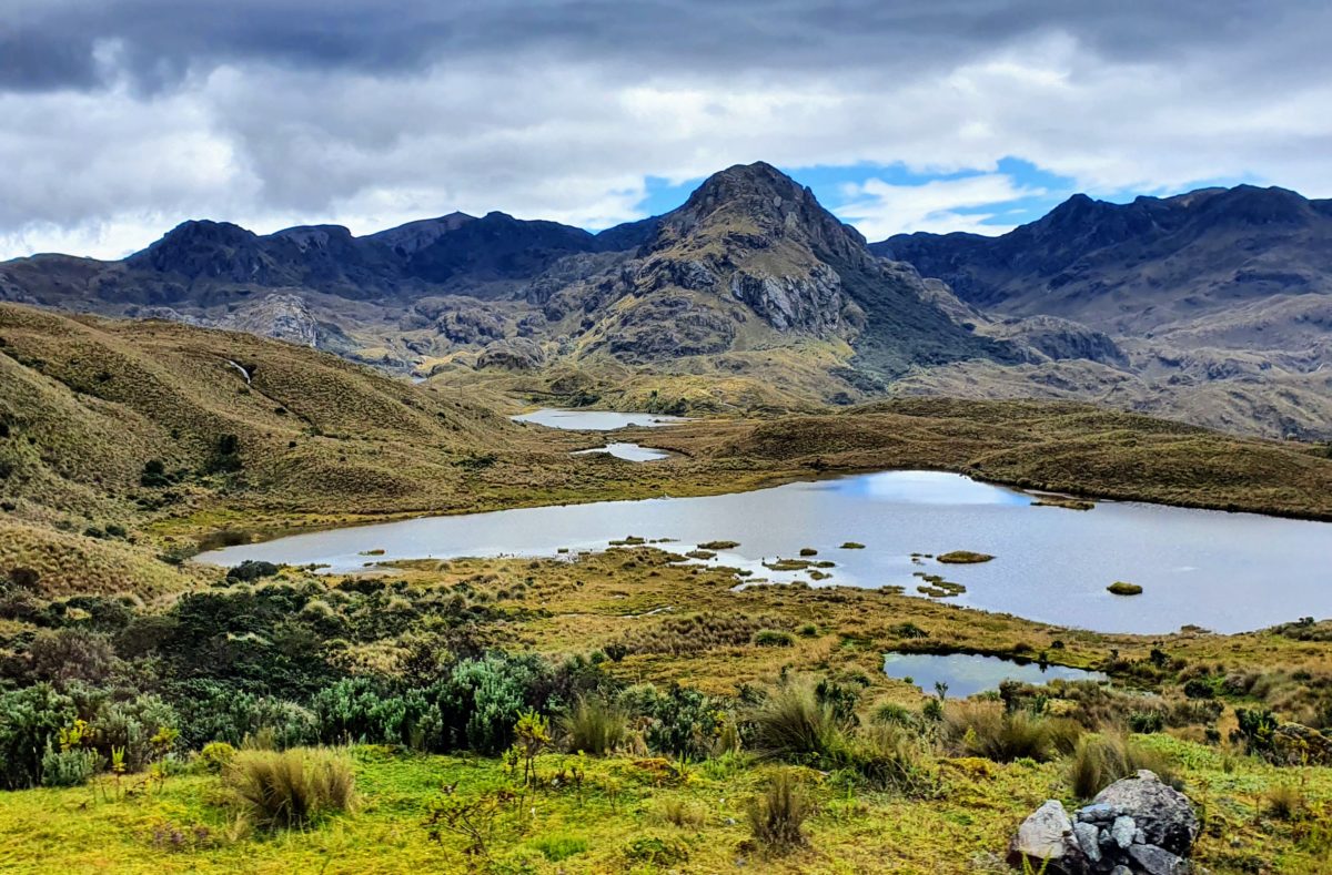 Besuch des Cajas-Nationalparks Gruppenreise nach Ecuador