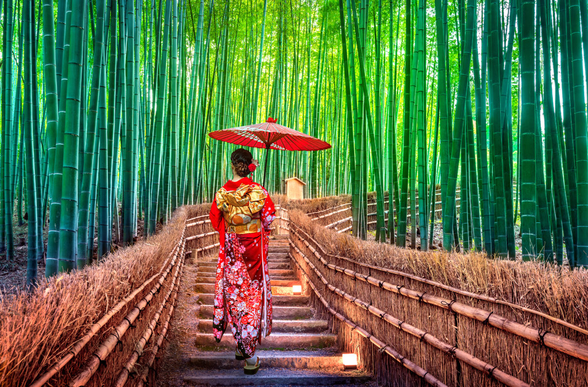 Der Bambuswald in Kyoto, Reise nach Japan