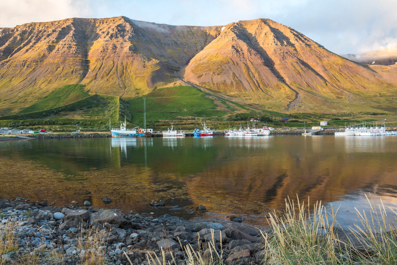 Die Bucht von Isafjordur im Westen Islands