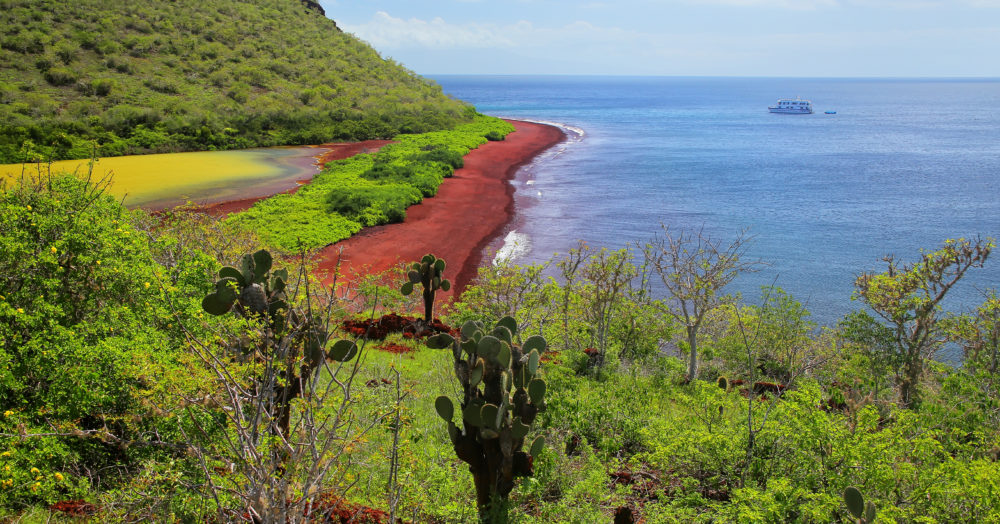 Roter Strand und Lagune Insel Rabida Galapagos-Nationalpark