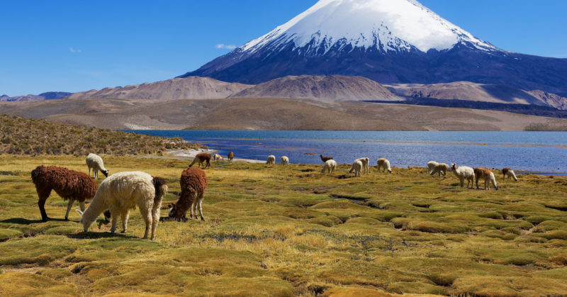 Gruppenreise nach San Pedro de Atacama Chile