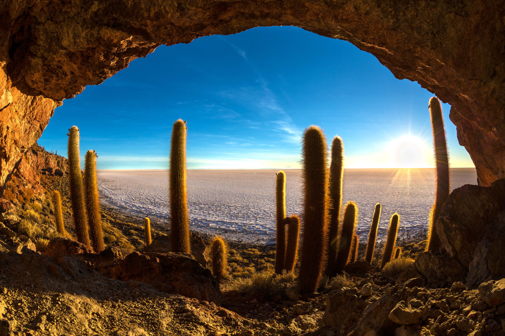 Besuchen Sie die Insel Incahuasi am Salar d'Uyuni Bolivien