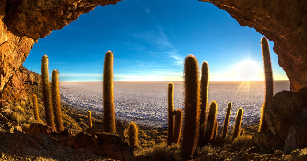 Besuchen Sie die Insel Incahuasi am Salar d'Uyuni Bolivien