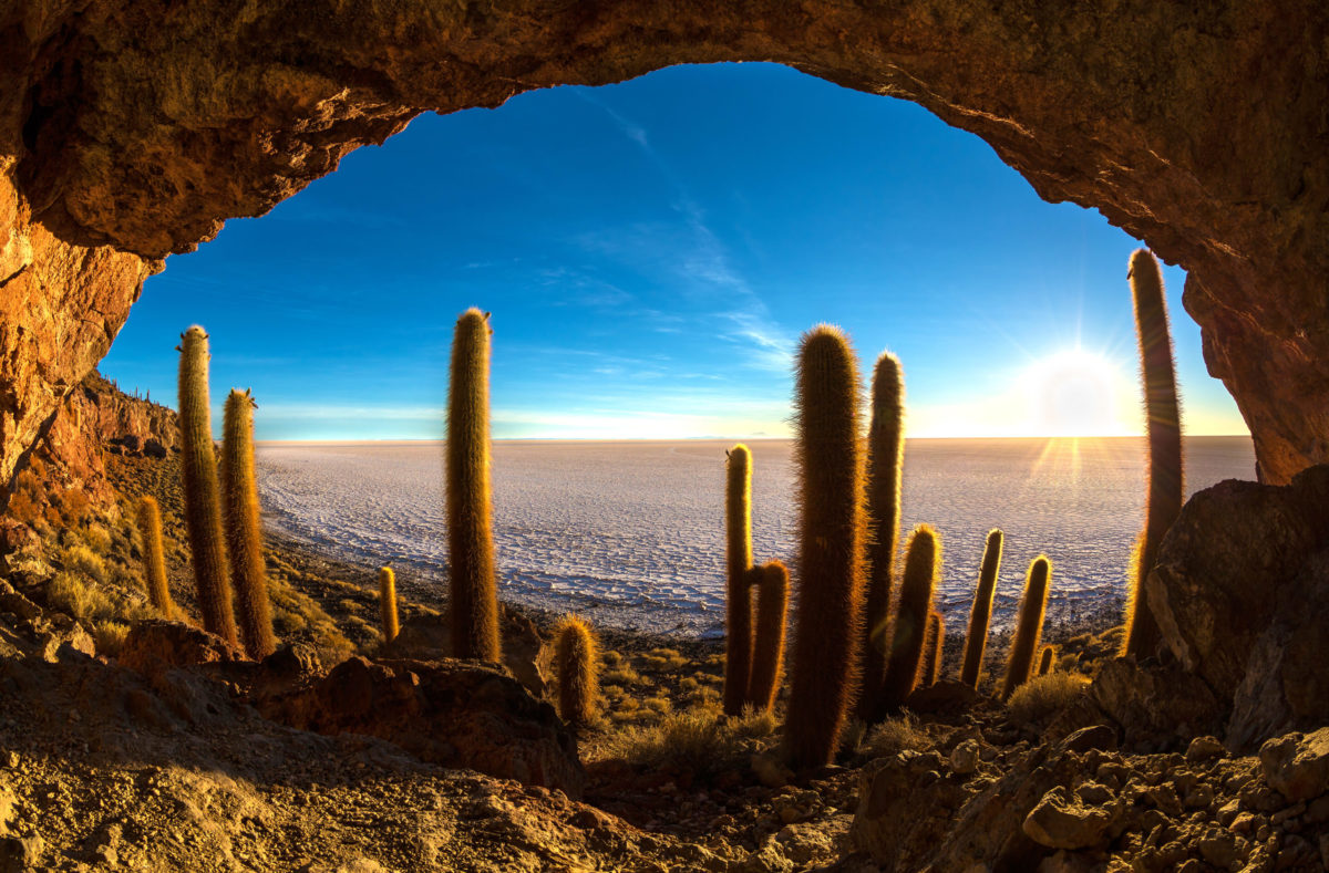 Besuchen Sie die Insel Incahuasi am Salar d'Uyuni Bolivien