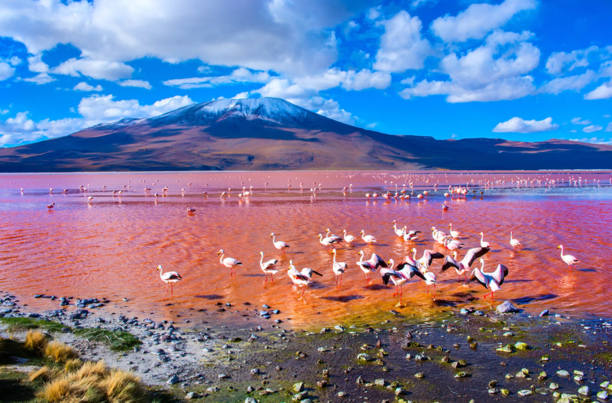 Gruppenreise zur Laguna Colorada Uyuni Bolivien