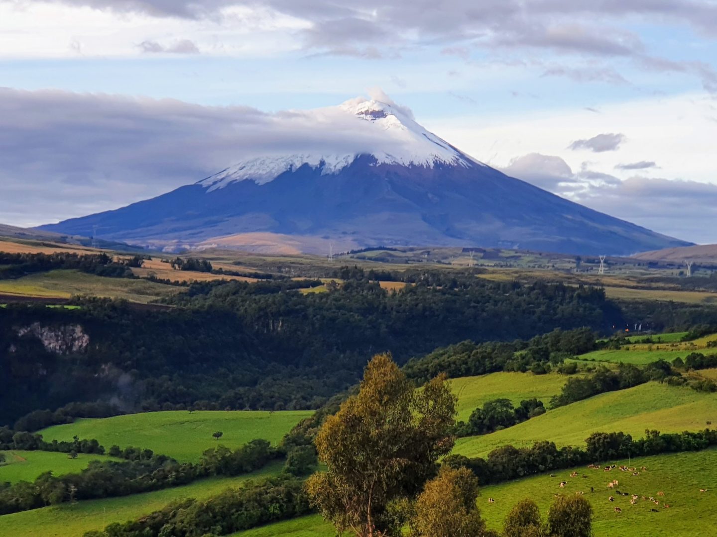 Vulkan Cotopaxi in Ecuador