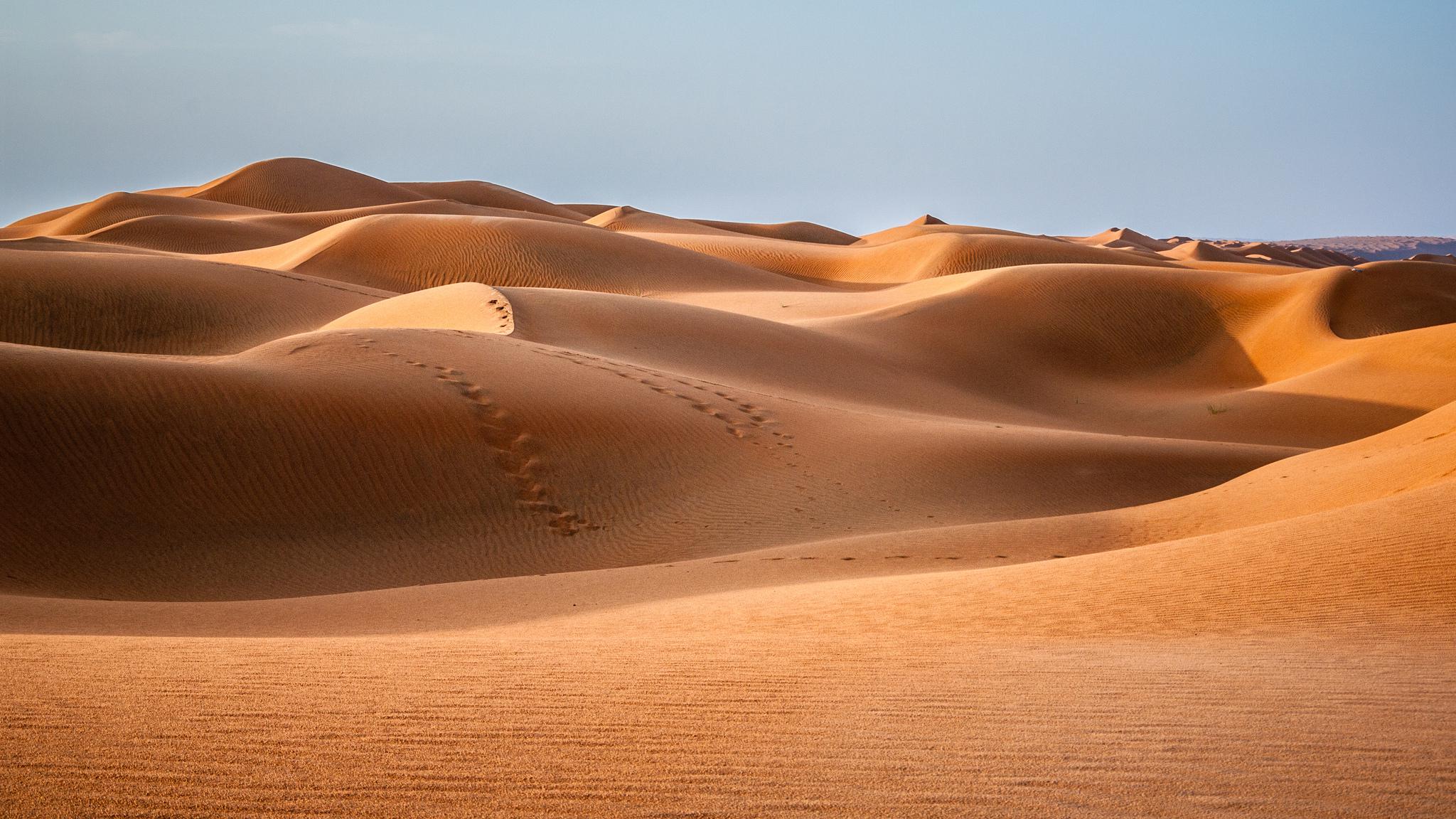 Passer une nuit au Wahiba Sands lors d'un circuit organisé à Oman