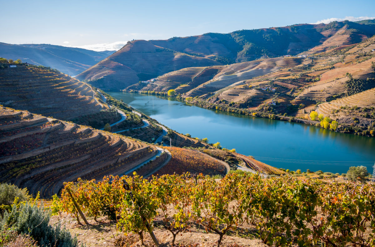Bootsfahrt auf dem Douro und Entdeckung der Weinterrassen