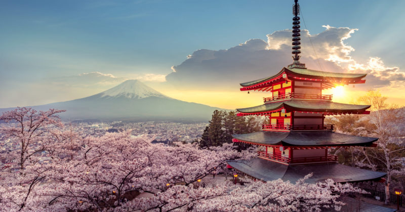 Sakura im Frühling Gruppenreise nach Japan