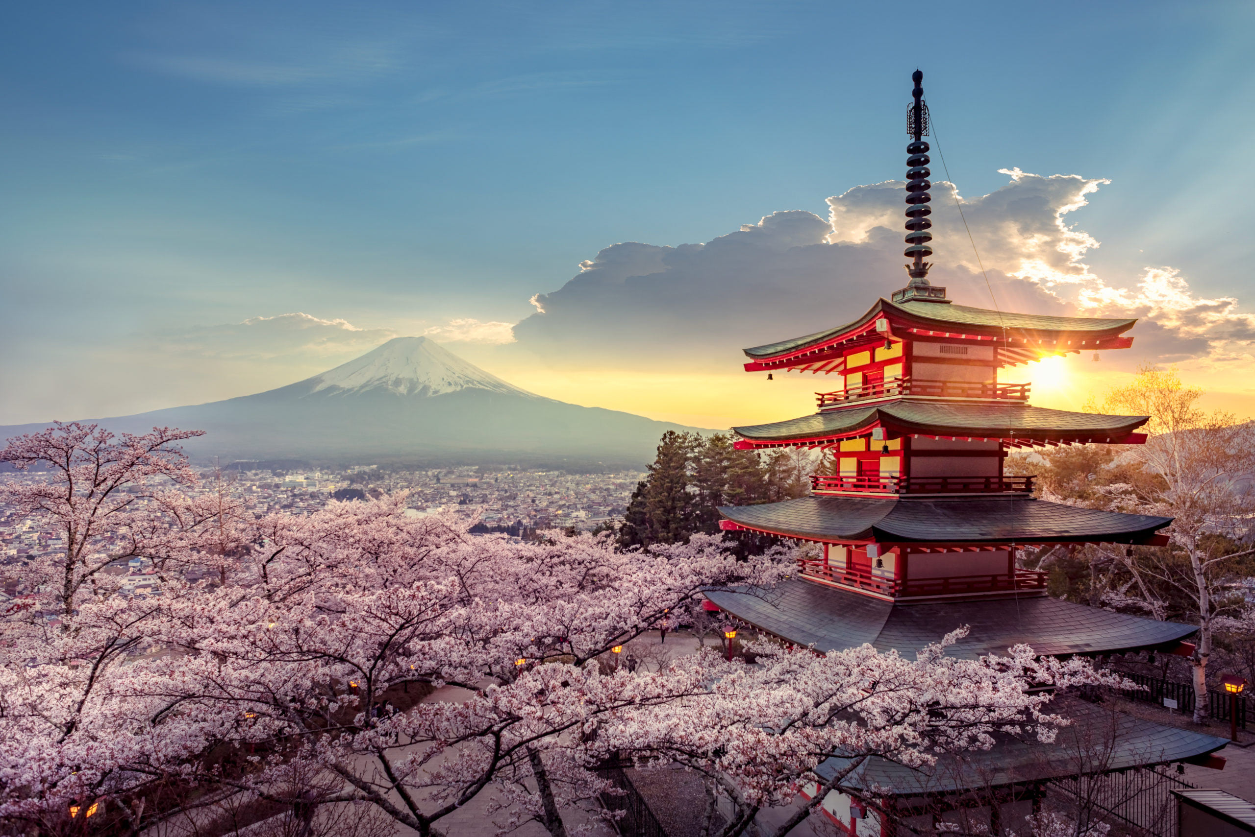 Sakura im Frühling Gruppenreise nach Japan