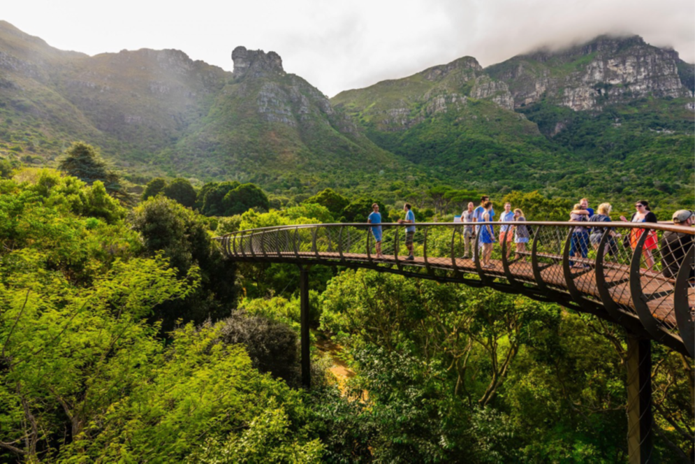 Botanischer Garten Kirstenbosch in Kapstadt, Südafrika, Reise ins südliche Afrika