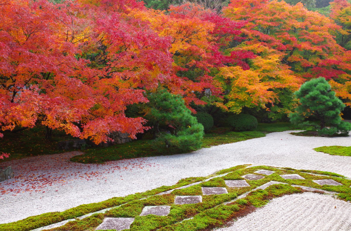 Herbstfarben in Japan