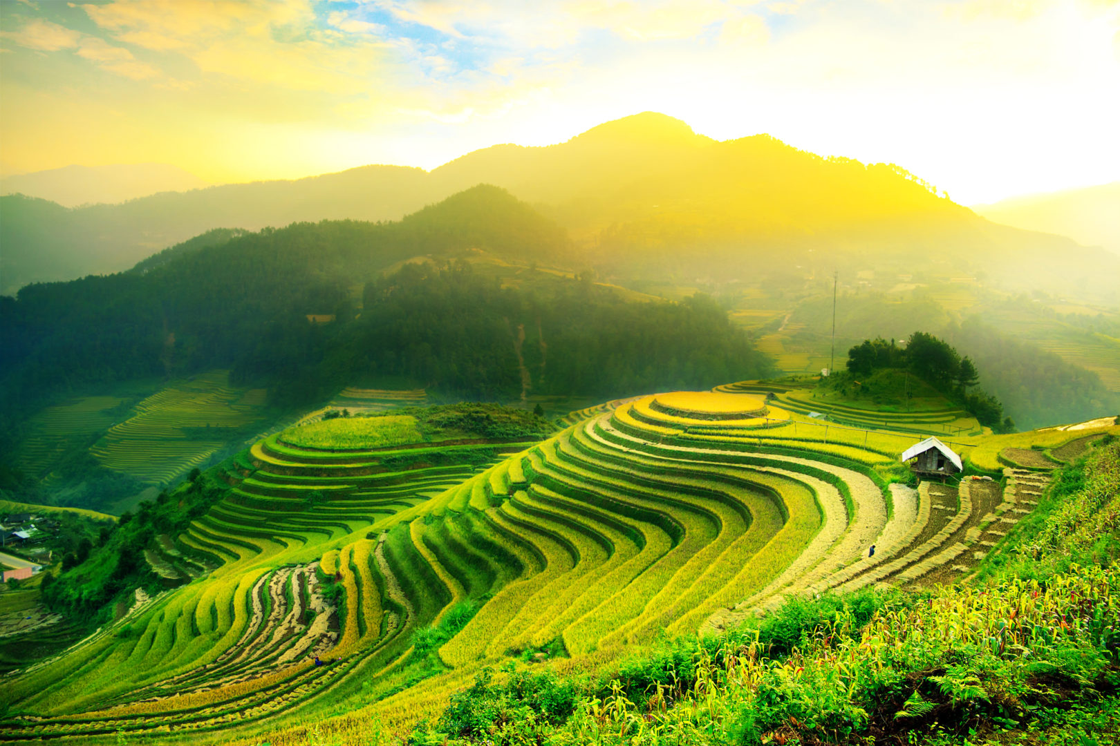 Reisterrassen in Mu Cang Chai, Vietnam