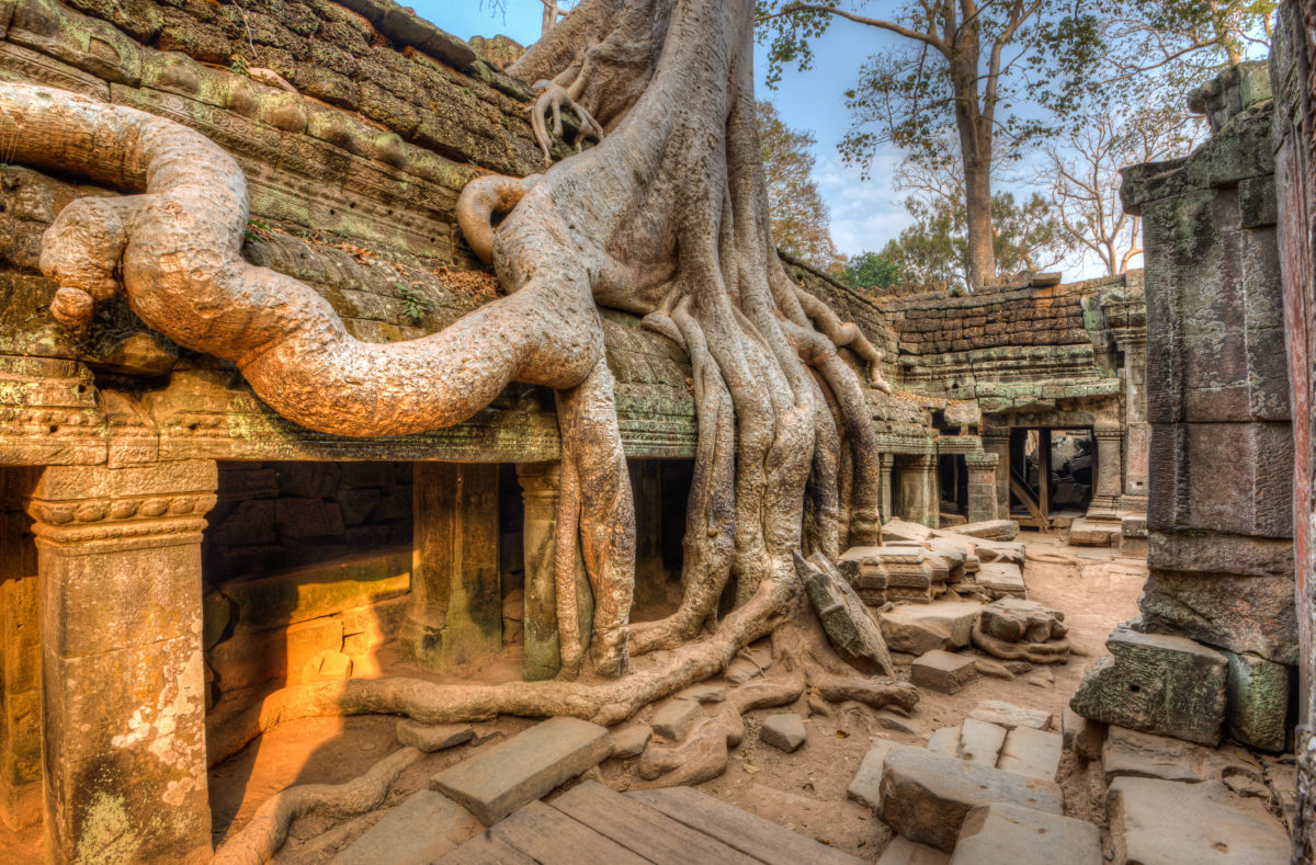 Tempel von Angkor, Kloster Ta Prohm, in Kambodscha