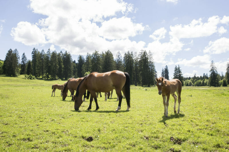 Gruppenreise nach Jura