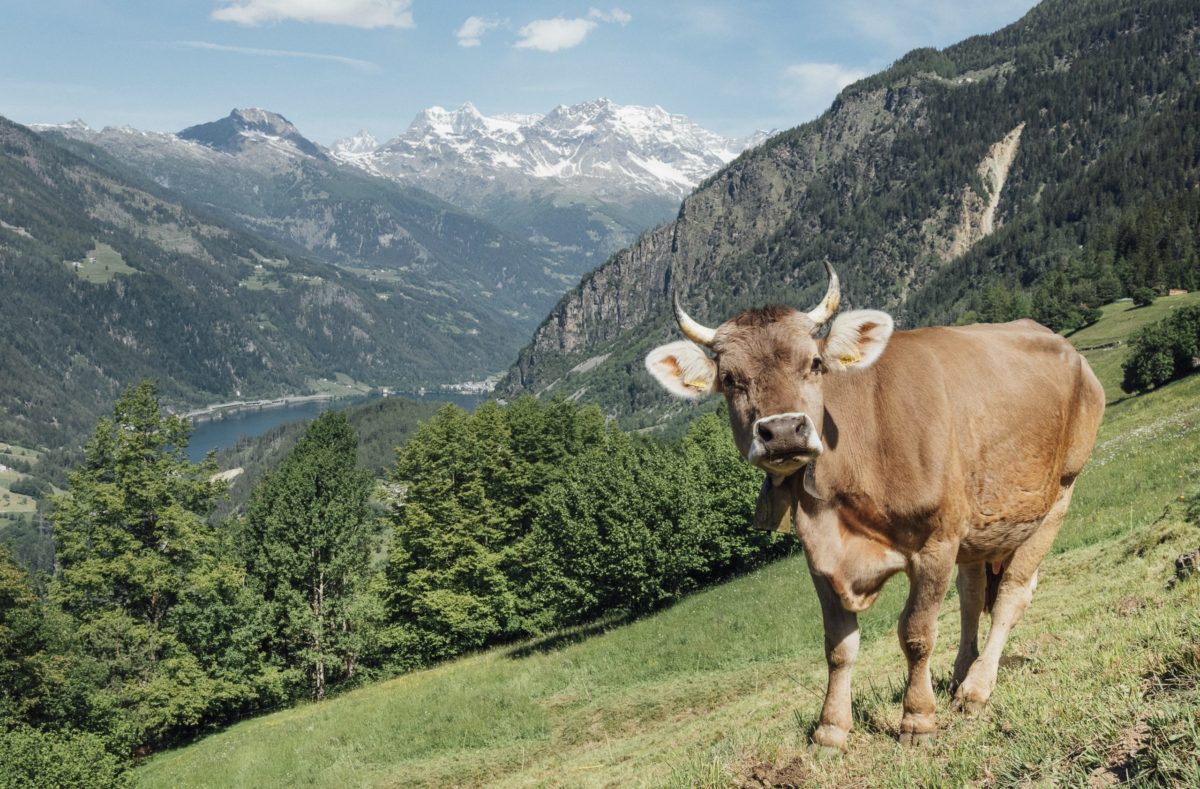 Valposchiavo mit dem Lago di Poschiavo