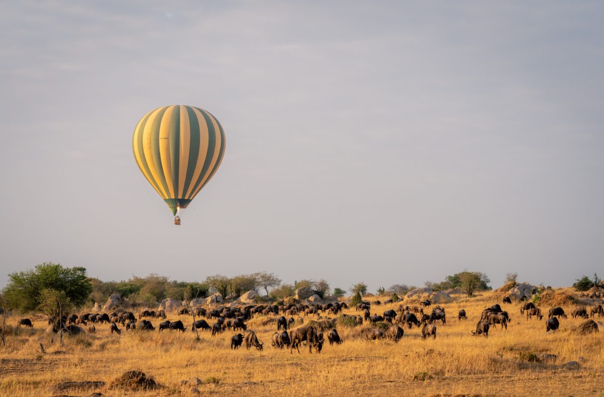 Heißluftballonfahrt in Tansania