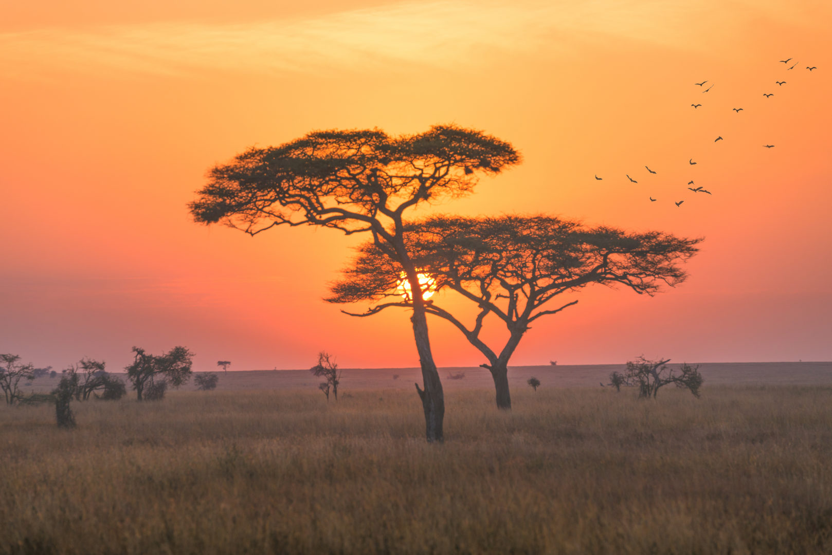 Sonnenaufgang im Serengeti-Nationalpark, Reise nach Tansania