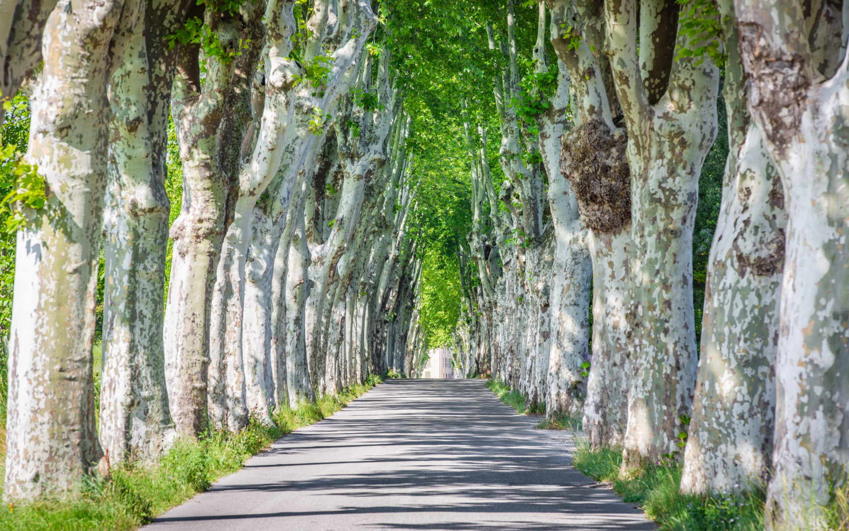 Landstraße Manosque Provence Frankreich