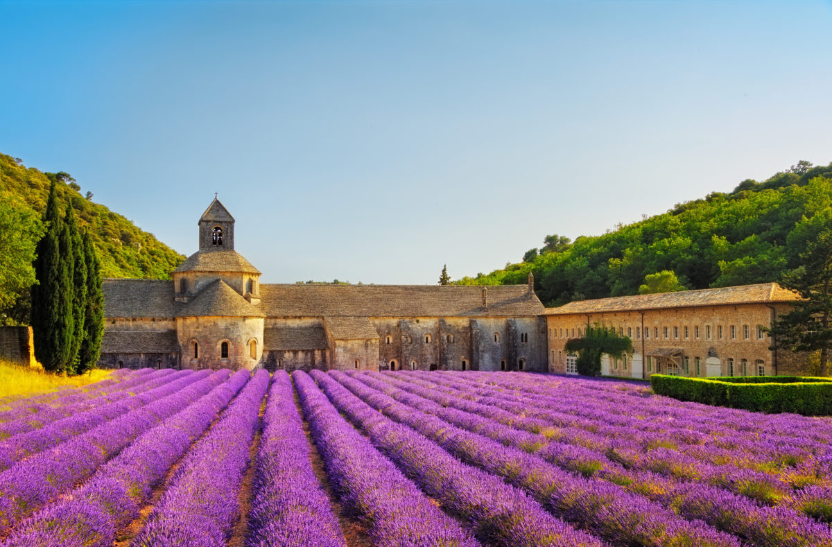 Abtei Senanque und ihr Lavendelfeld Vaucluse Frankreich