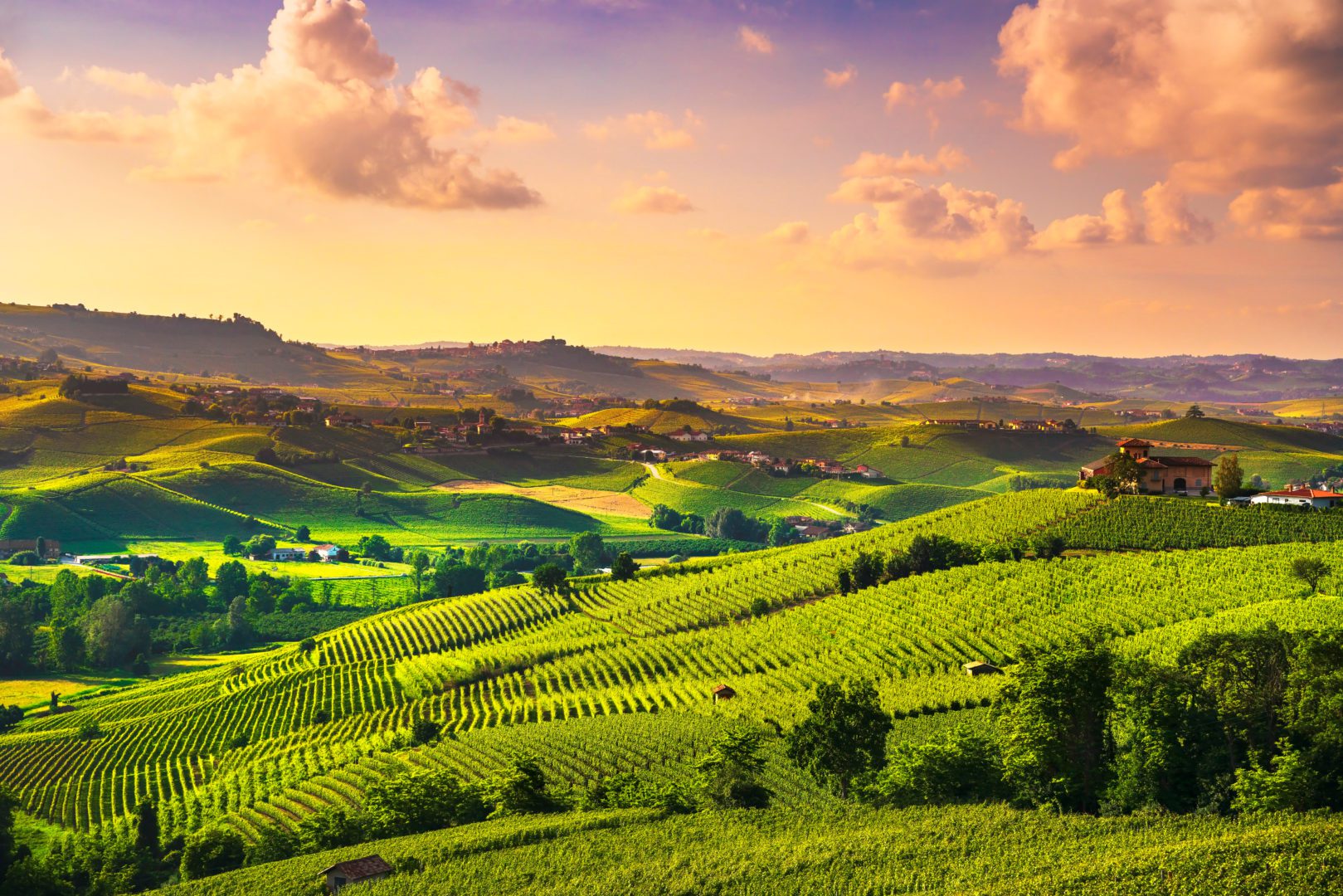 Weinberge bei Sonnenuntergang in Richtung Barolo, Italien