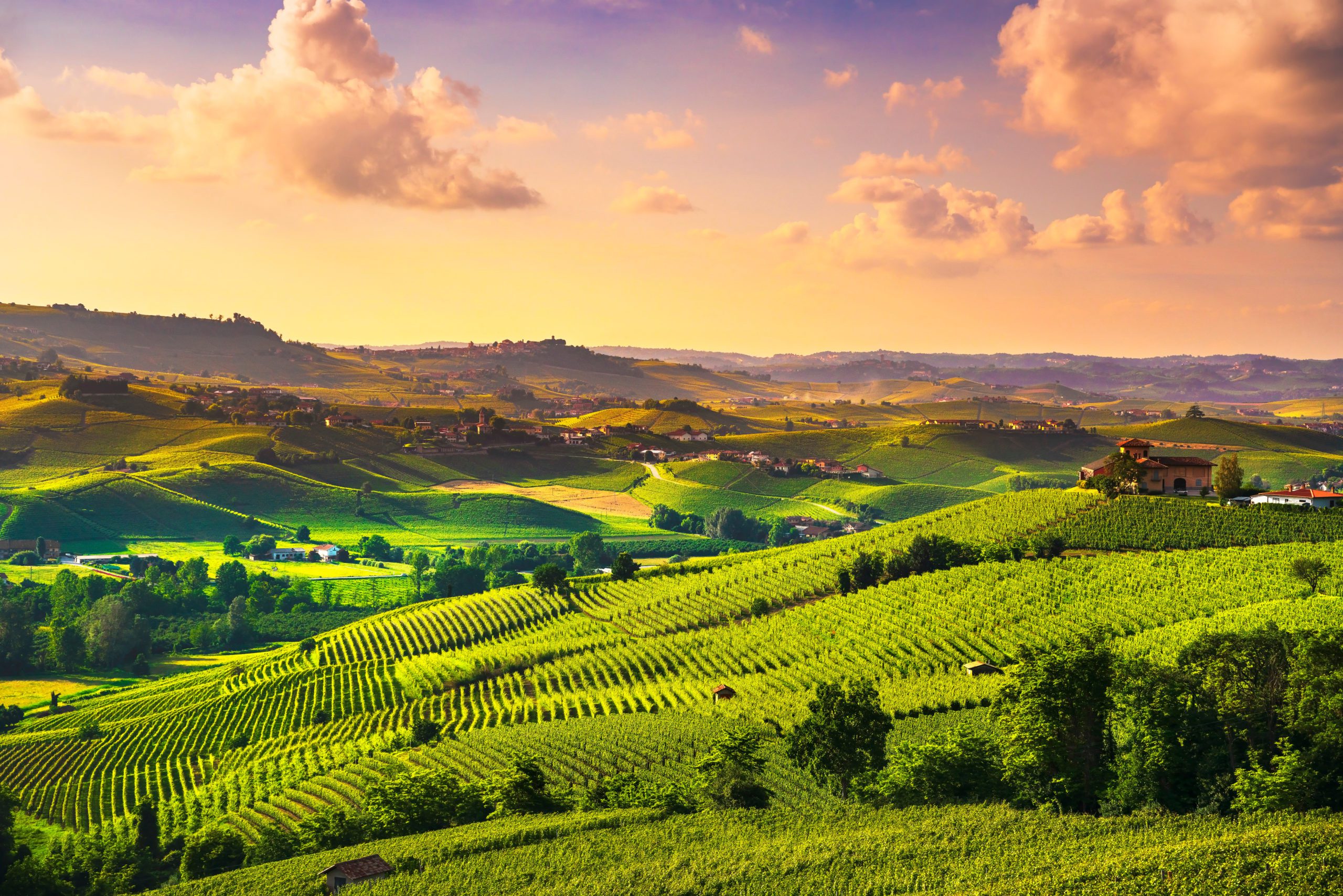 Weinberge bei Sonnenuntergang in Richtung Barolo, Italien