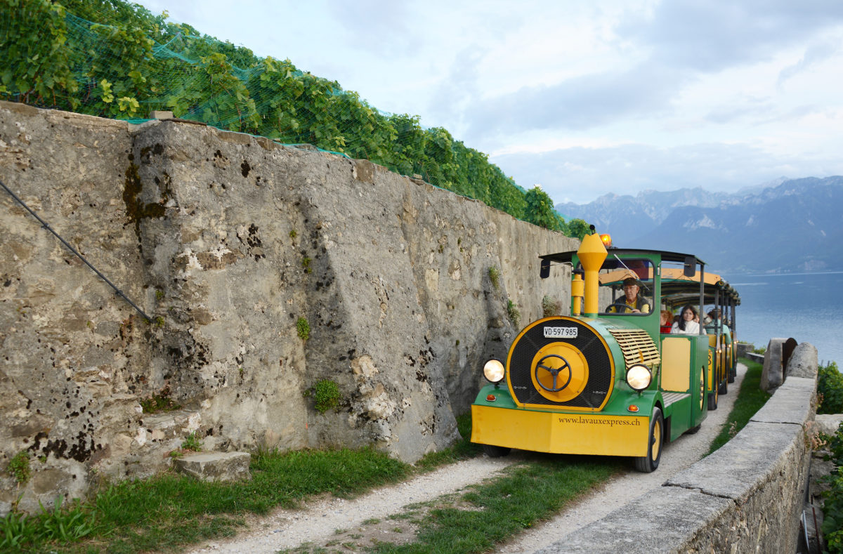 Fahrt mit dem kleinen Zug durch die Weinberge in Lavaux