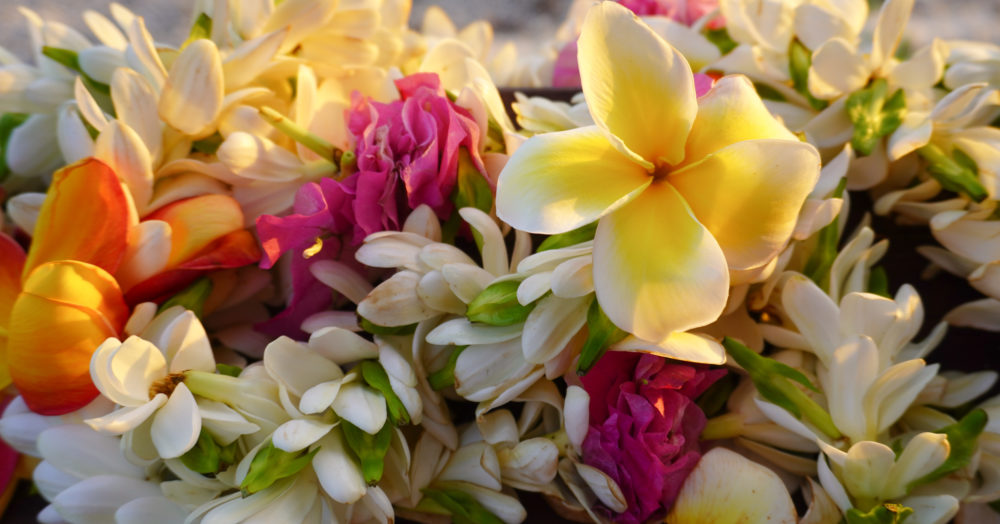 Exotische Blumen aus Polynesien