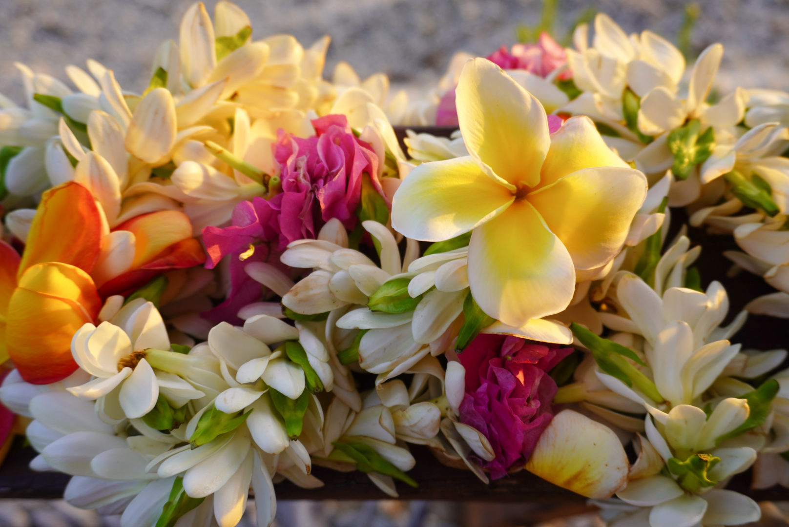 Exotische Blumen aus Polynesien