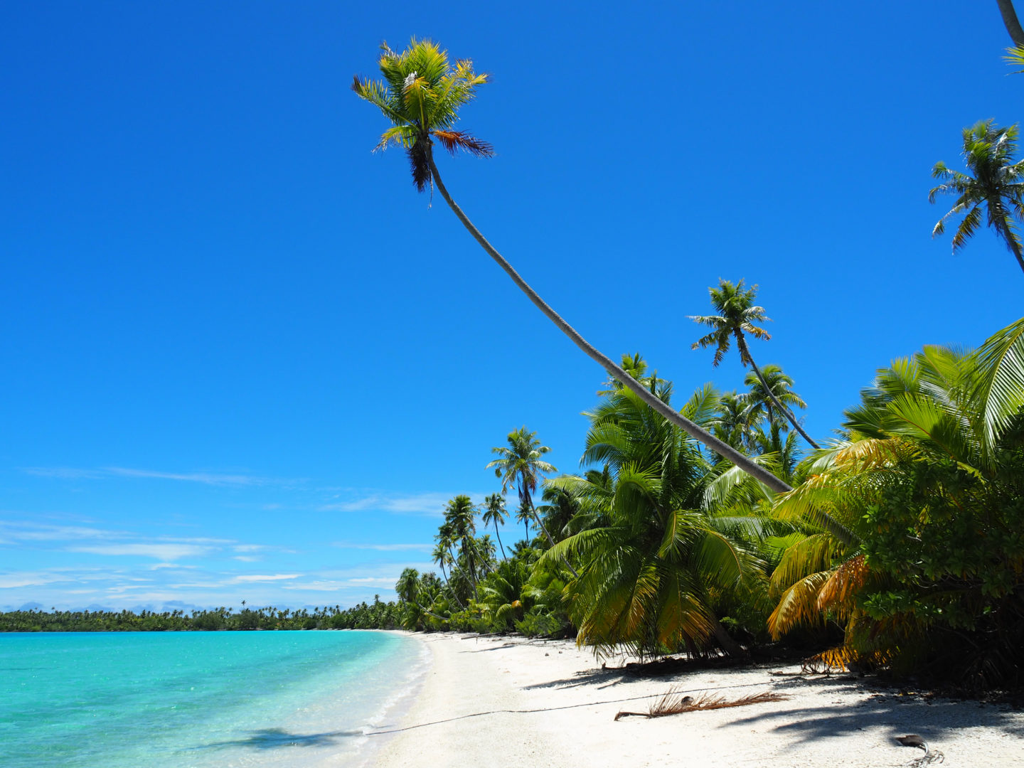 Strand von Fakarava in Polynesien