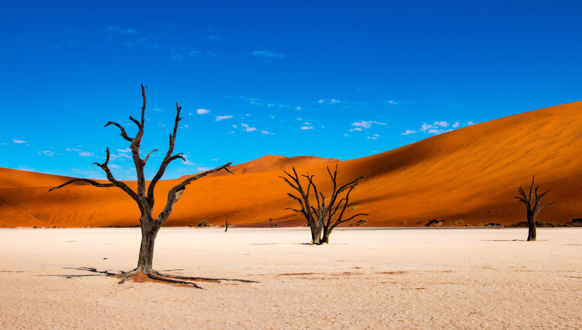 Geführte Biker-Reise in Namibia