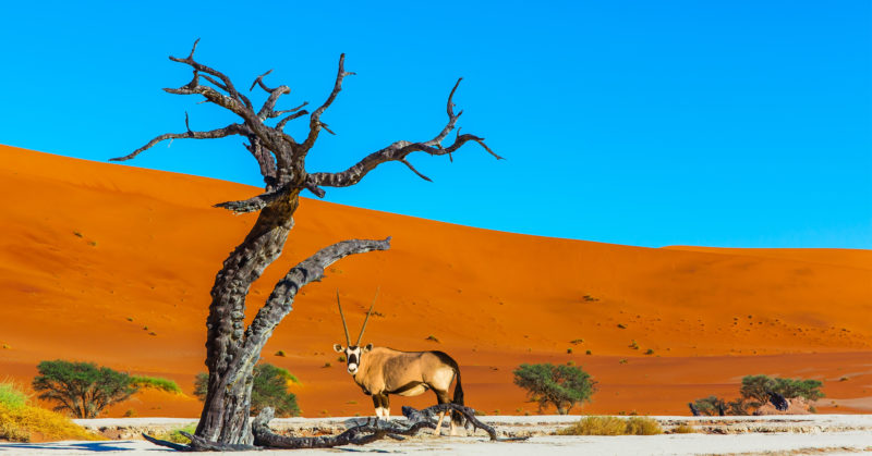 Namib-Wüste, Reise nach Namibia
