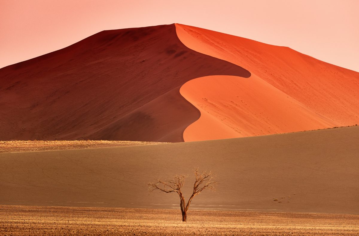 Dünen der Namib-Wüste bei Sonnenaufgang