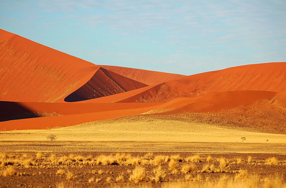 Namib Wüste, Gruppenreise nach Namibia