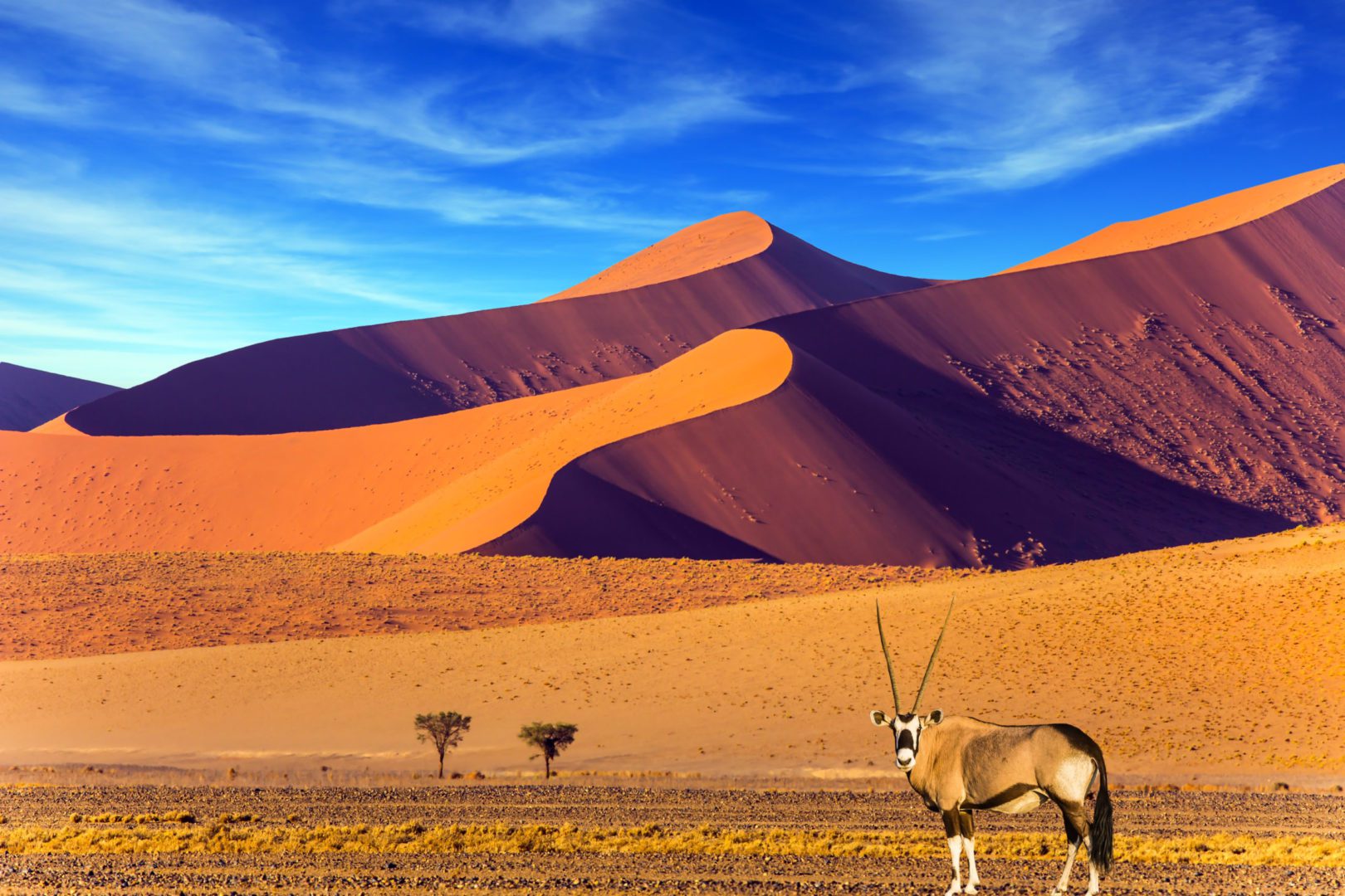Geführte Biker-Reise in Namibia