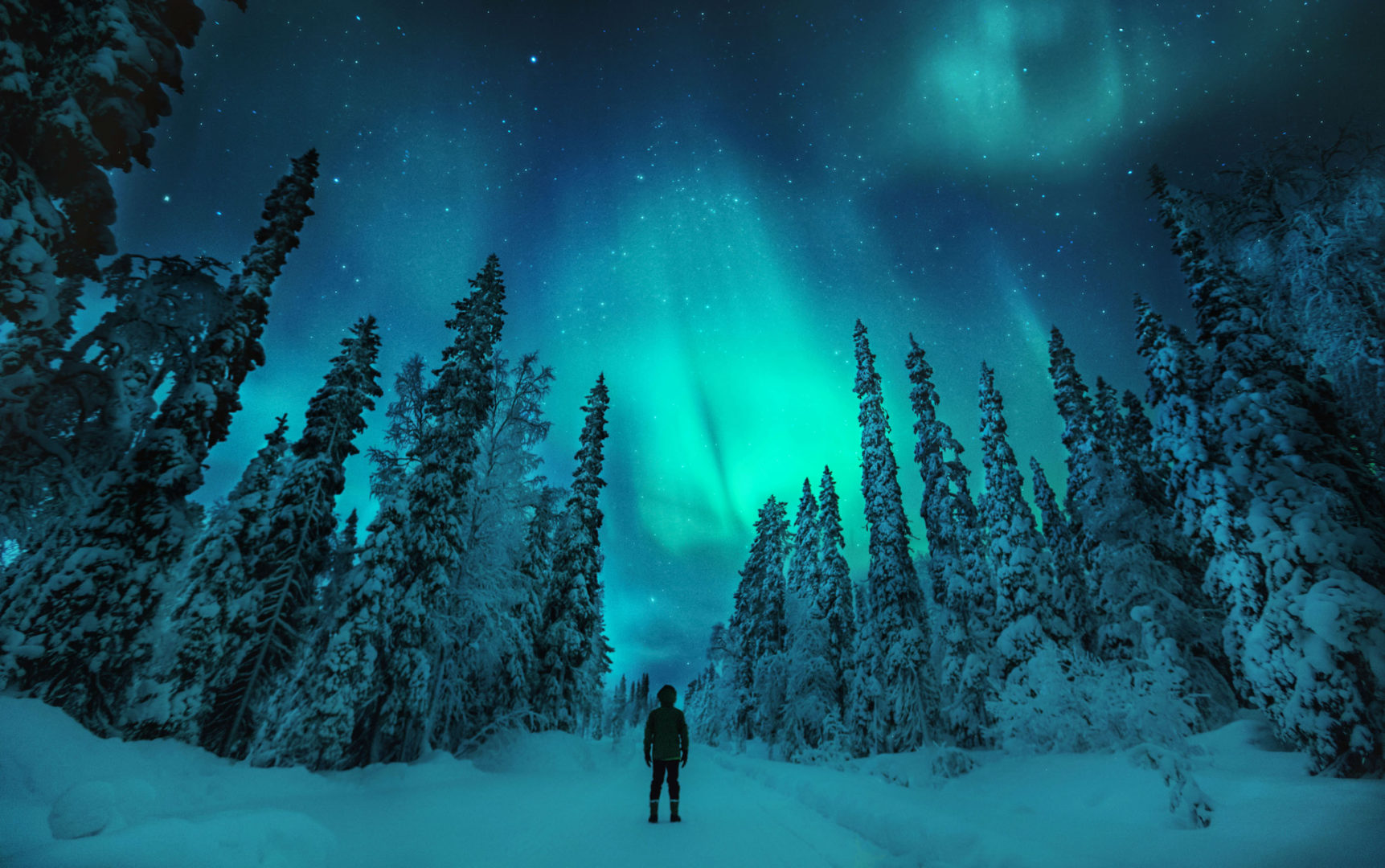 Nordlicht in Finnisch-Lappland