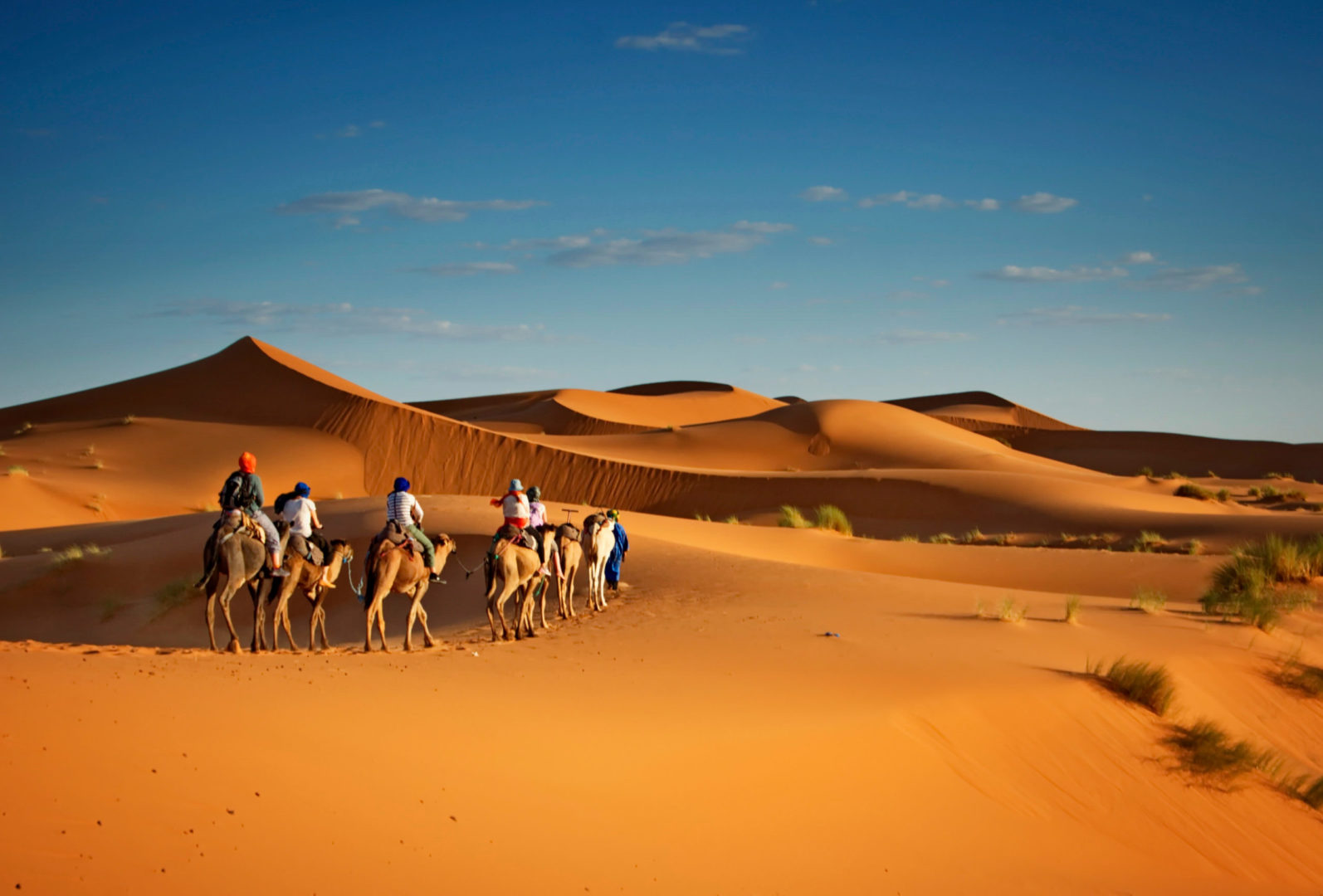 Kamelritt in der Wüste, Reise nach Oman