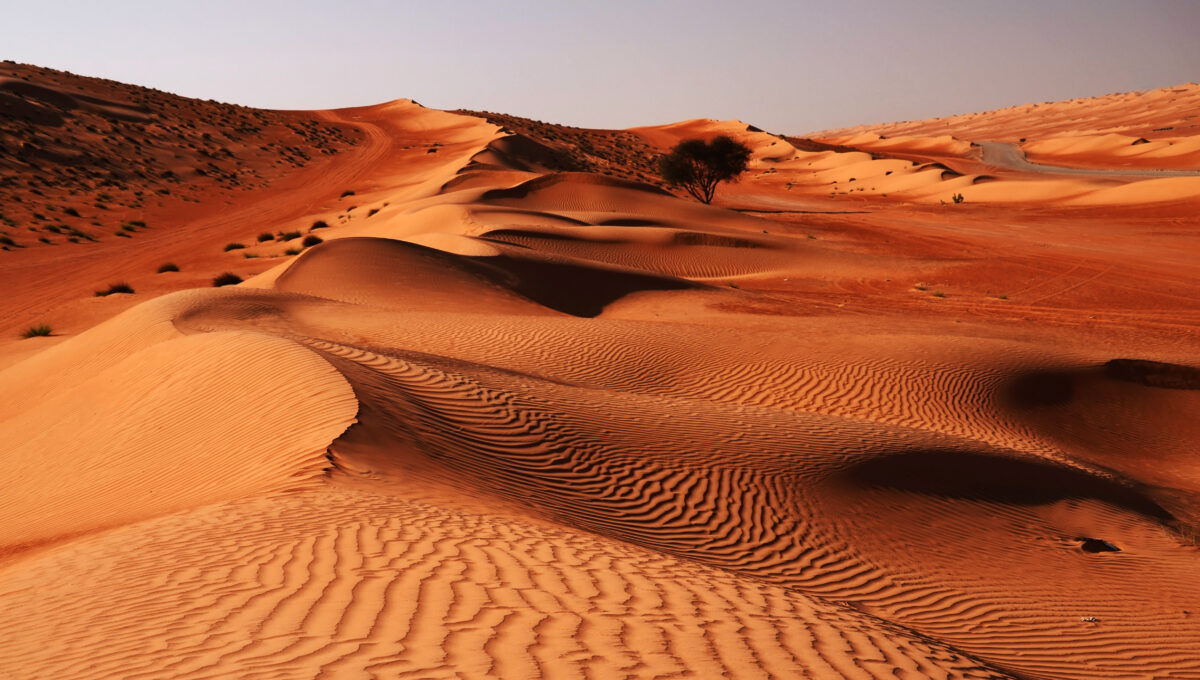 Besuchen Sie die Wahiba-Wüste, Reise nach Oman