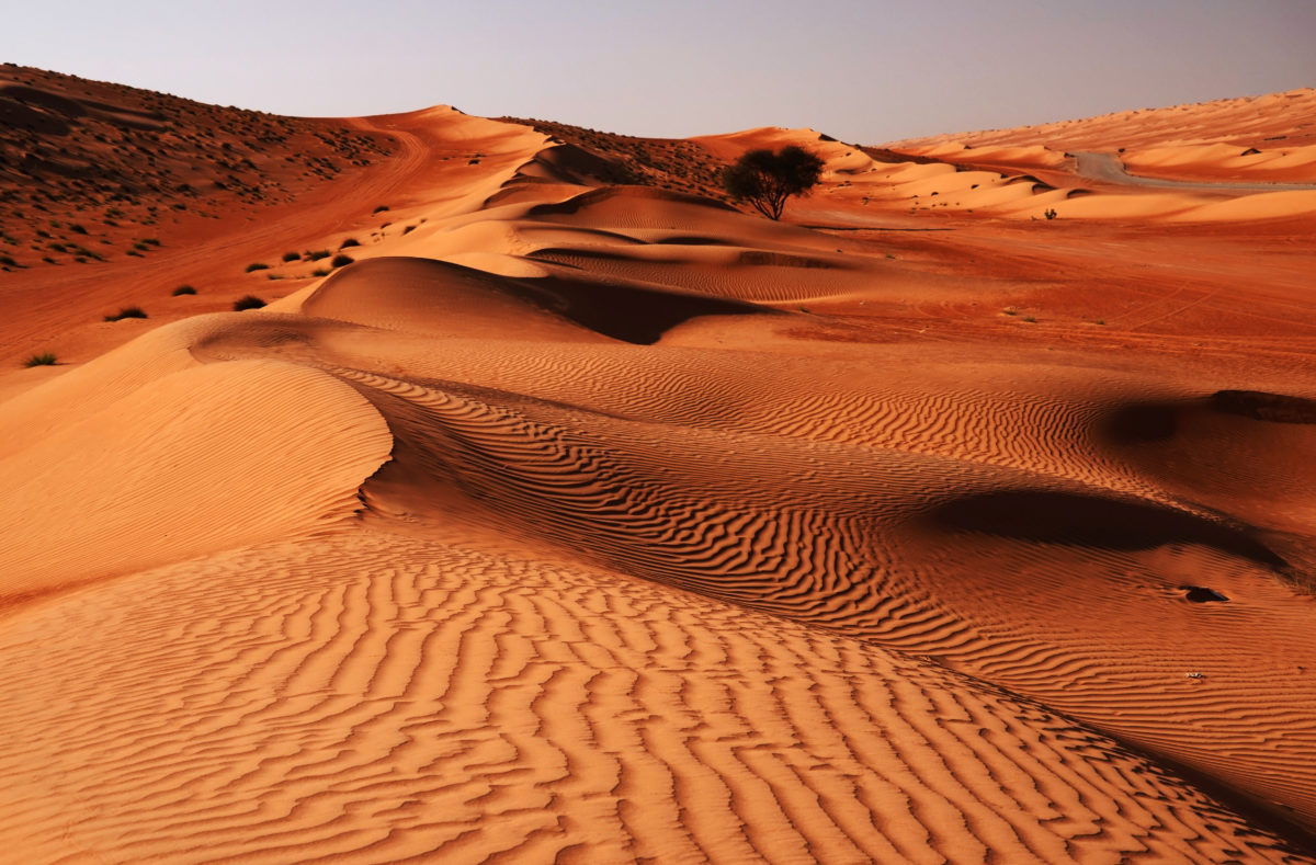 Besuchen Sie die Wahiba-Wüste, Reise nach Oman