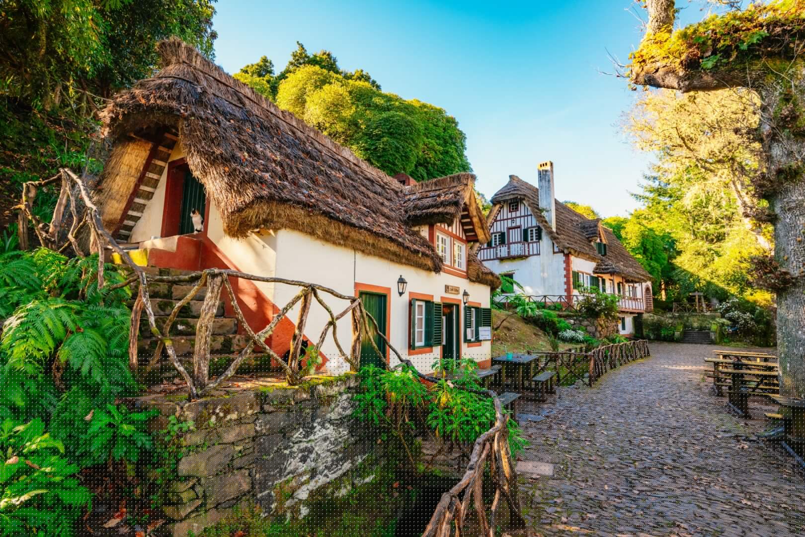 Traditionelle Häuser im Queimadas-Waldpark in der Nähe von Santana, Madeira