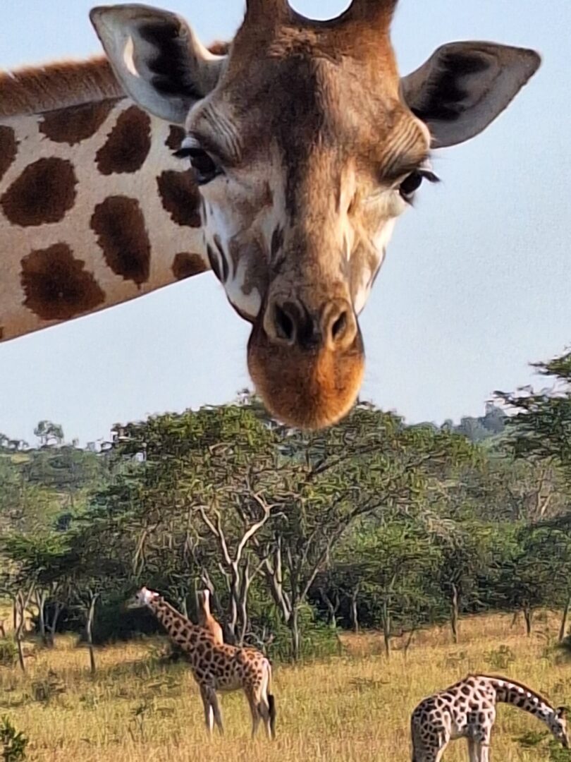 Uganda – Die Perle Afrikas