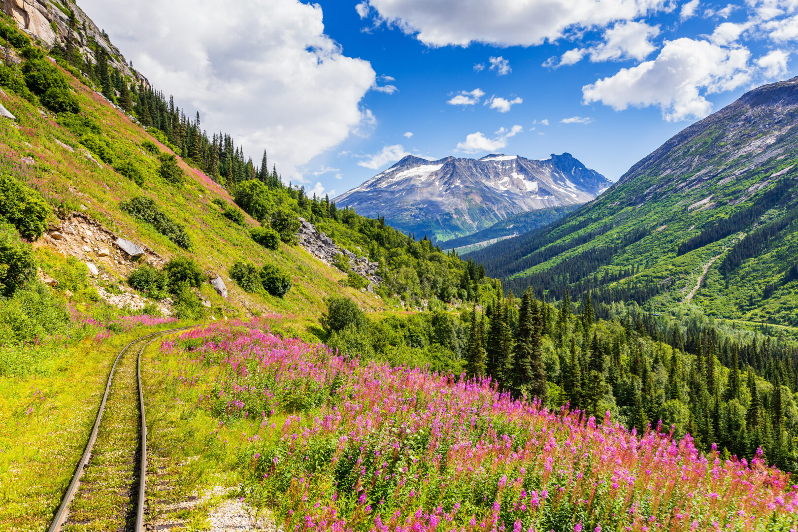 Landschaft der White Pass & Yukon Route Railway in Skagway, Alaska