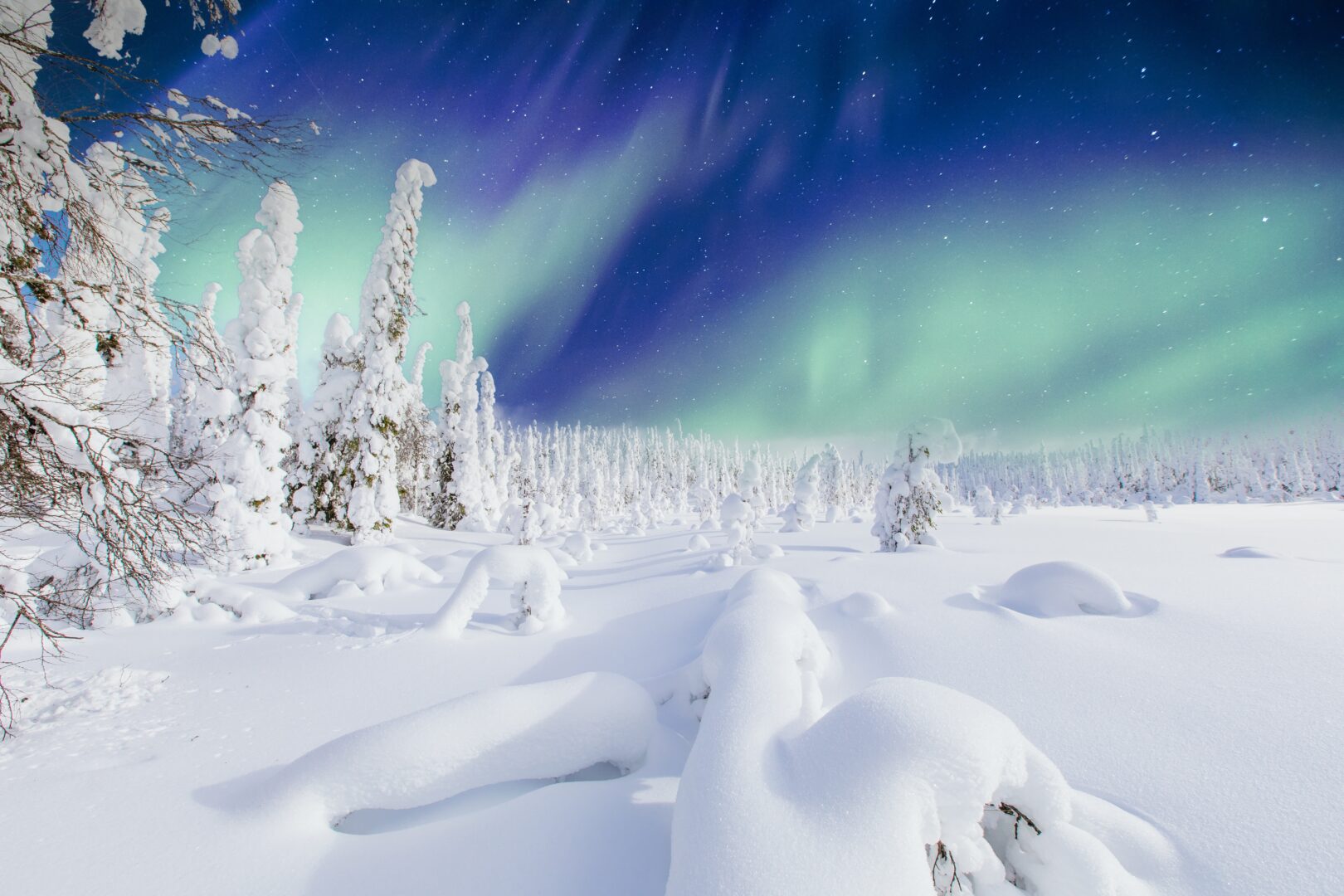 Arktisches Abenteuer in Finnisch-Lappland